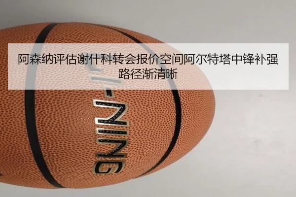 阿森纳评估谢什科转会报价空间阿尔特塔中锋补强路径渐清晰